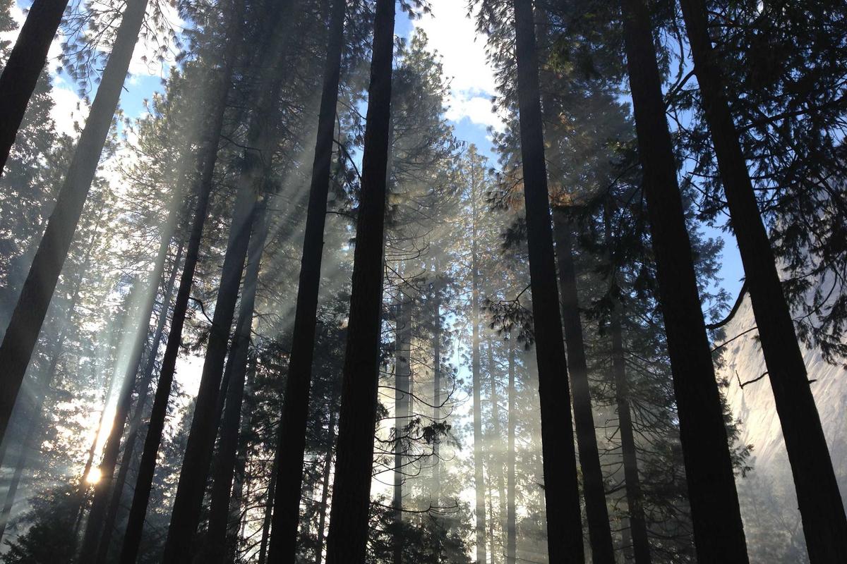 Menteri Kesehatan Sambut Positif Proyek RS Canggih Kolaborasi Sinar Mas Land & Bundamedik di BSD, Digadang Ubah Peta Layanan Kesehatan Indonesia!